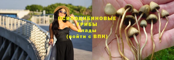гашик Волосово