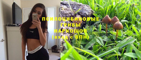 гашик Волосово