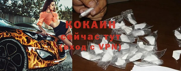 сатива Вязники