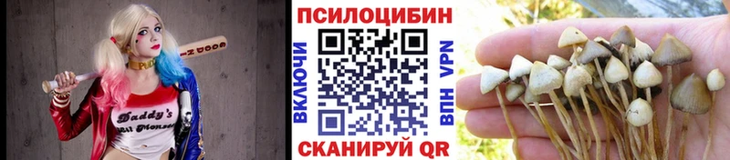 Купить закладки  Лабинск  Галлюциногенные грибы Cubensis 